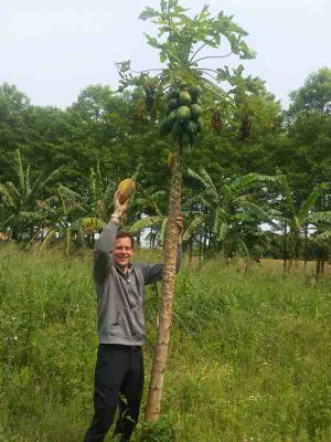 Toobi bei der "Ernte"